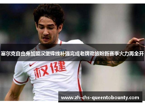 塞尔克自由身加盟汉堡锋线补强完成老牌劲旅盼新赛季火力再全开